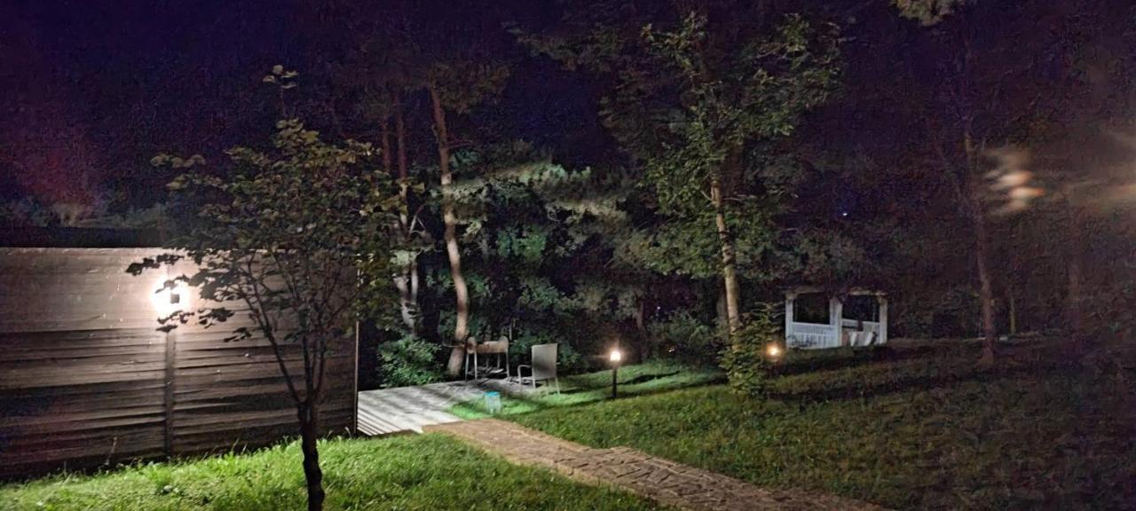 Zhvanets Воллен المظهر الخارجي الصورة