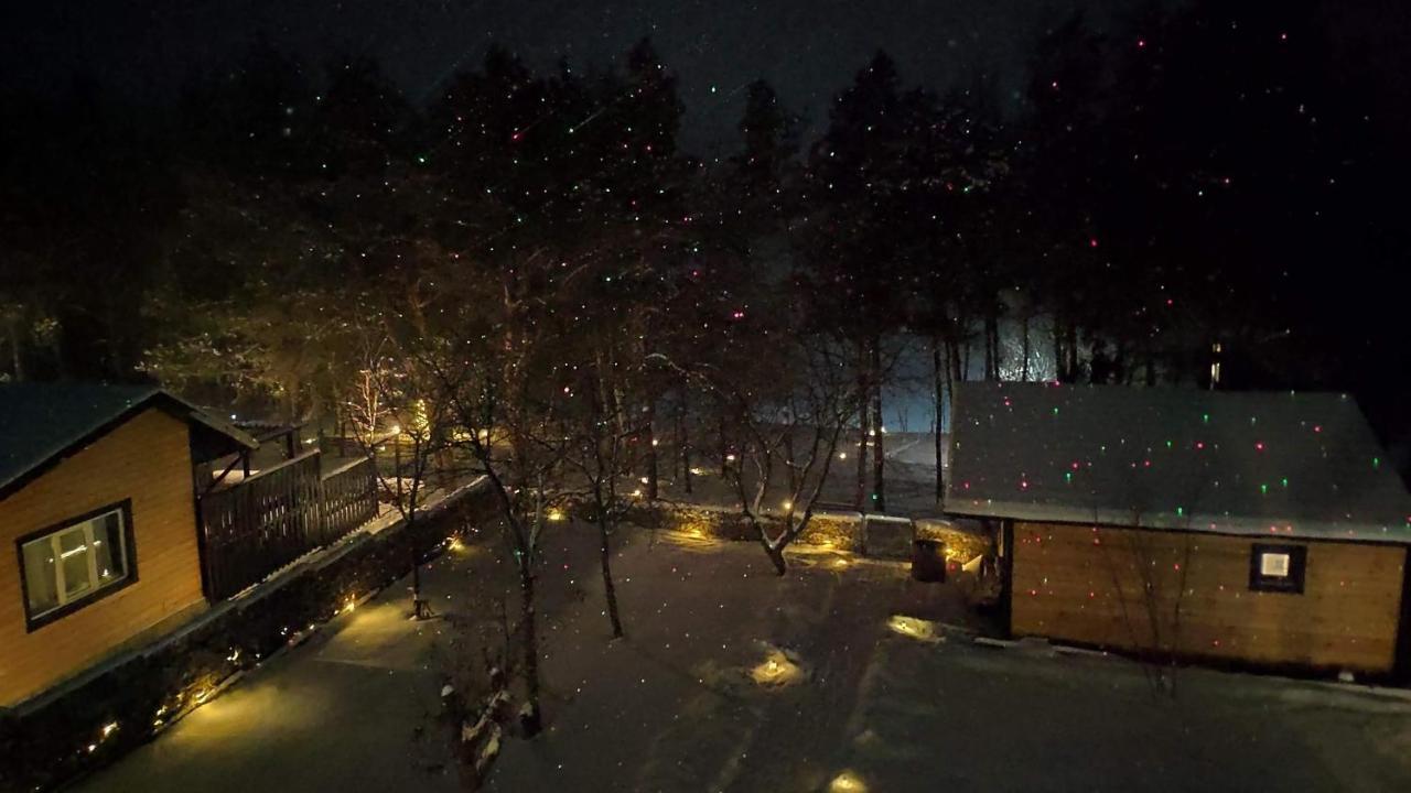 Zhvanets Воллен المظهر الخارجي الصورة