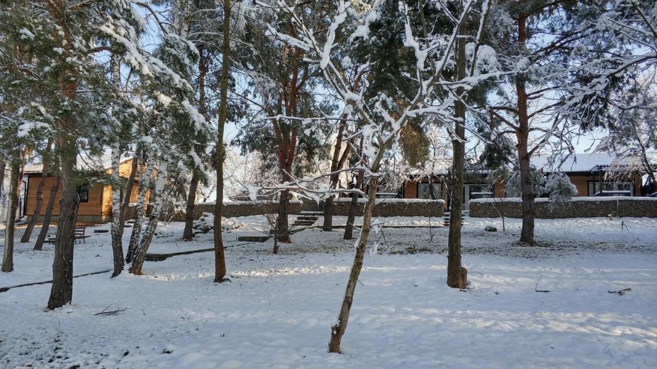 Zhvanets Воллен المظهر الخارجي الصورة