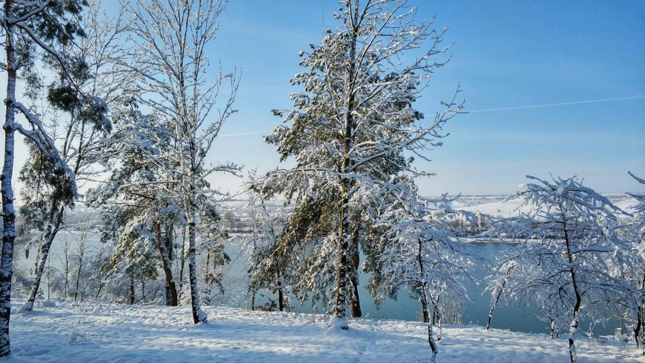 Zhvanets Воллен المظهر الخارجي الصورة