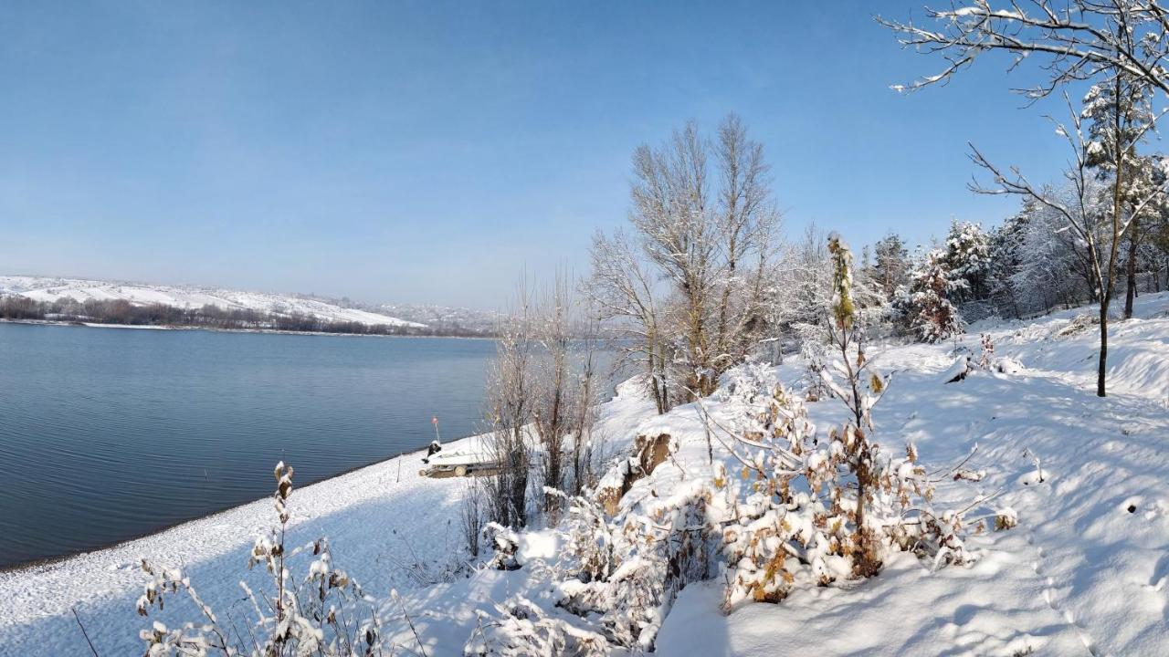 Zhvanets Воллен المظهر الخارجي الصورة