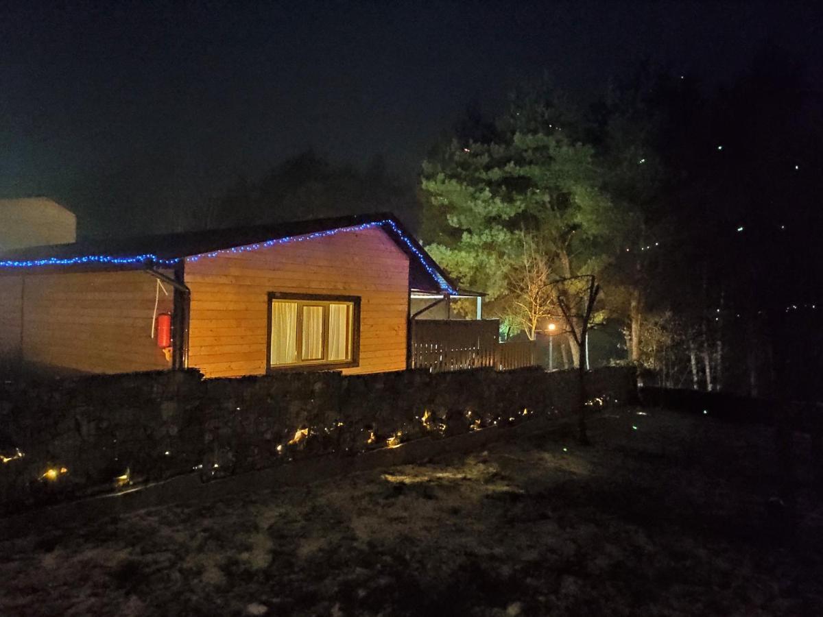 Zhvanets Воллен المظهر الخارجي الصورة